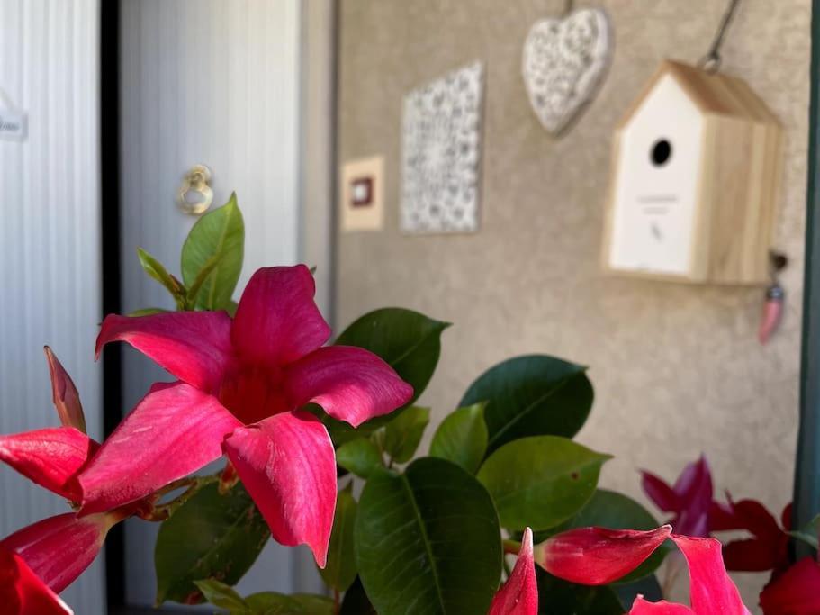 Annali Casa Vacanze - Shabby Style Nella Natura La Spezia Exterior foto